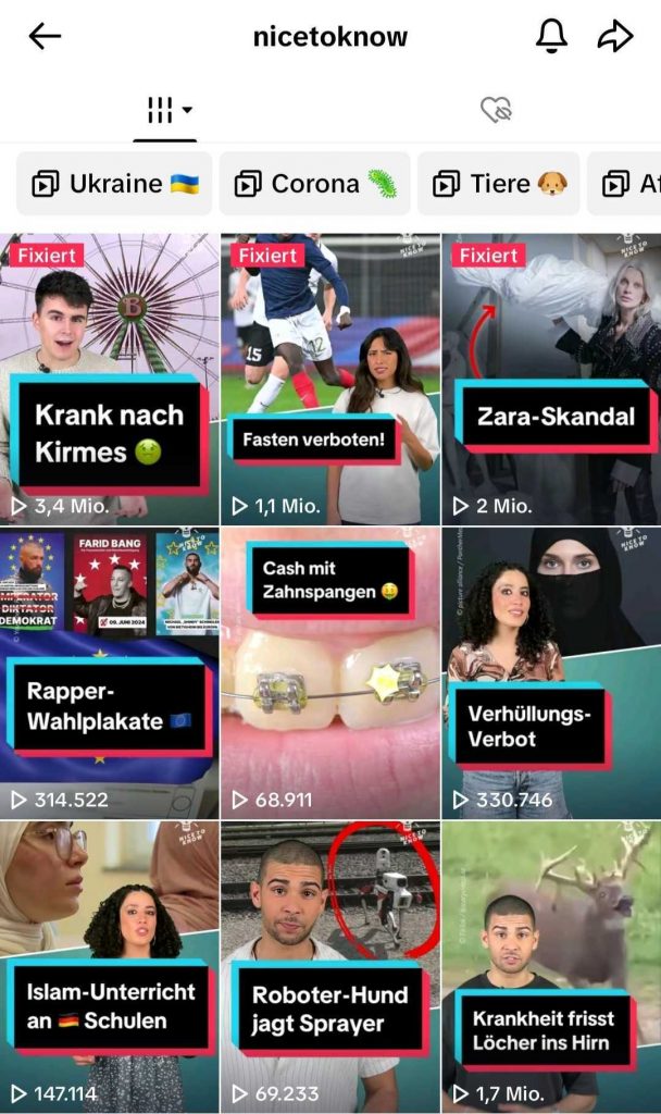 Screenshot aus TikTok von nicetoknow