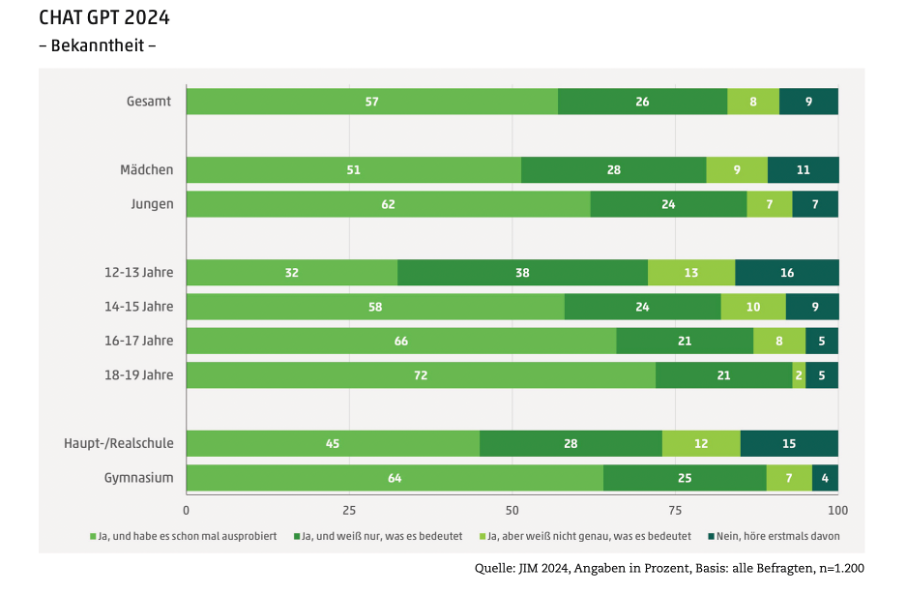 Auszug aus der JIM Studie 2024